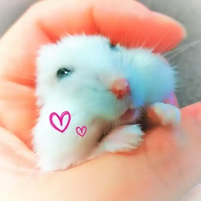 Momoka+*