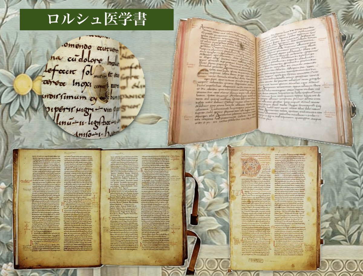 世界最古の医学書?ロルシュ医学書って何 世界最古の医学書?ロルシュ医学書って何