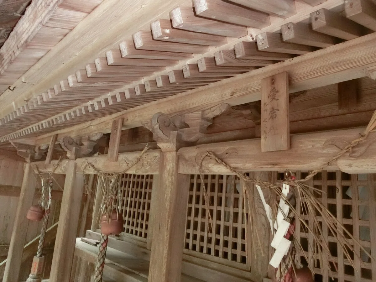 画像14