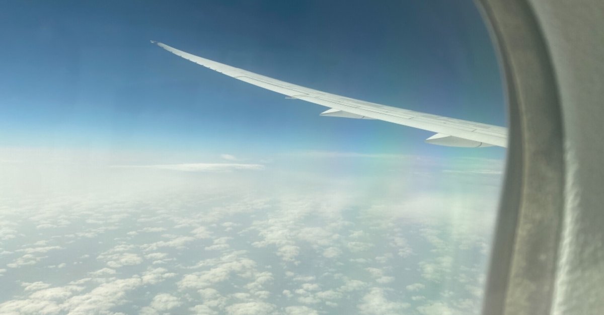 【現金特価】 A 22SE №C オンピース 有目打貼 特殊 航空 イタリア切手 ヨーロッパ