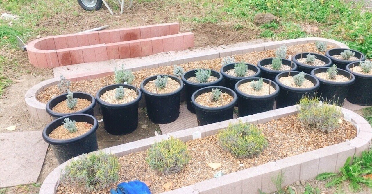 用土試験の報告とココナッツアイス避難花壇作り エフゲニーマエダ 平成林業 Note