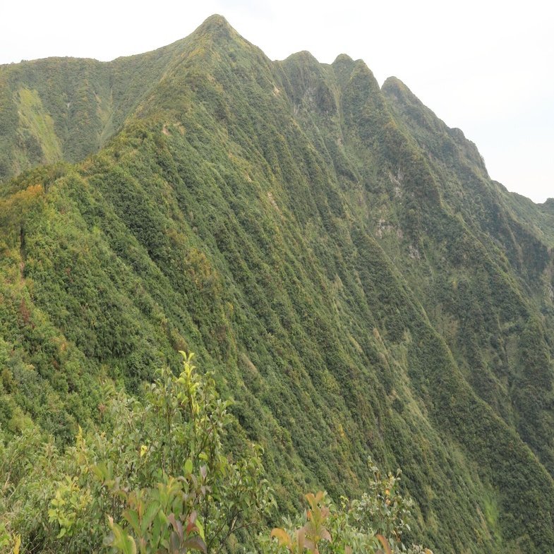 再開登山 山行14回目 クマにも負けず 紅葉はじまりの守門岳 大白川ルート えい Note