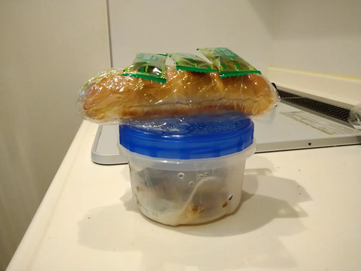 ç»å