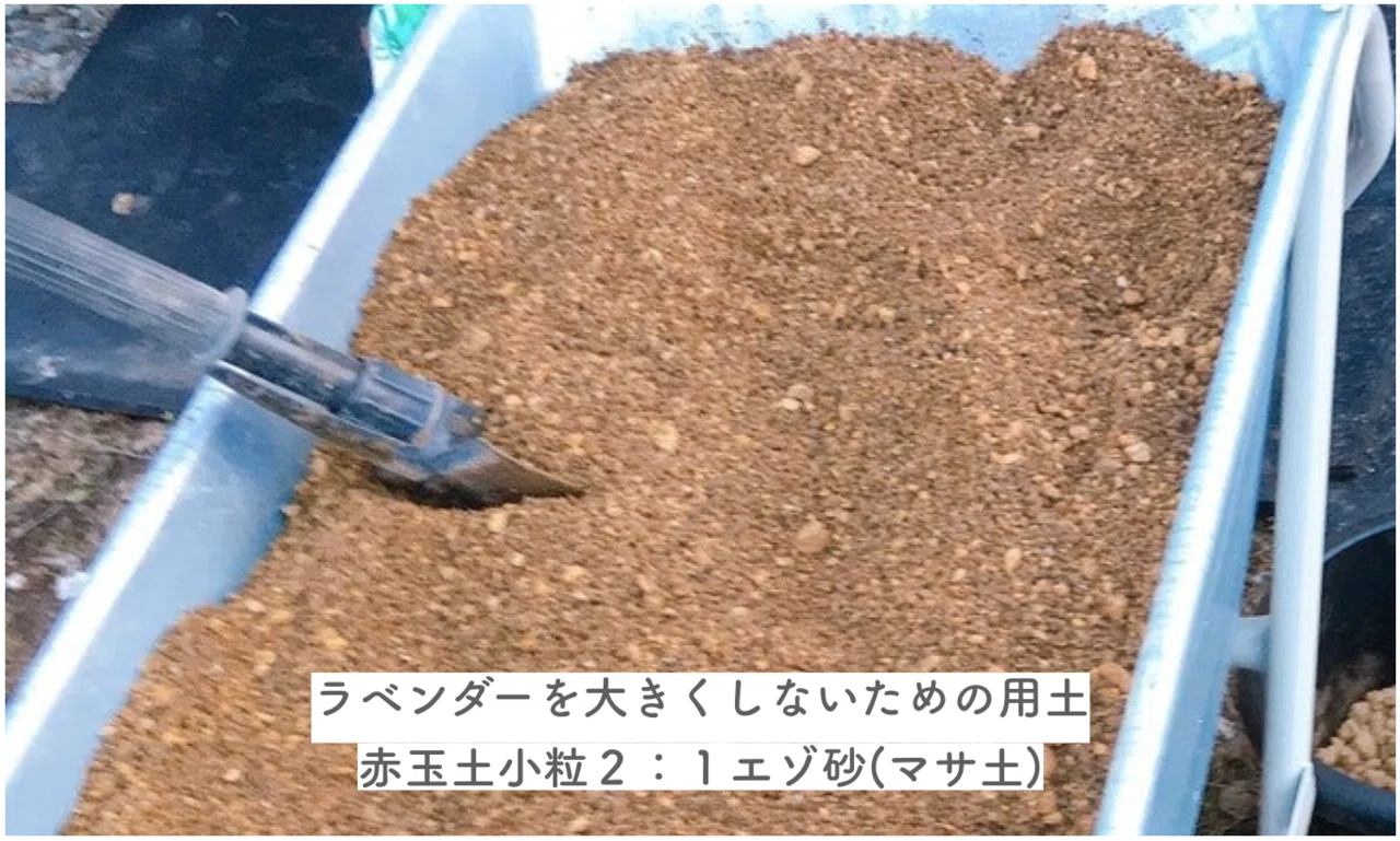 用土試験の報告とココナッツアイス避難花壇作り エフゲニーマエダ 平成林業 Note