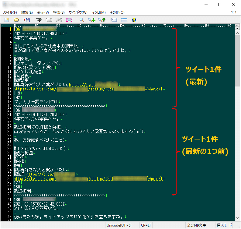 画像7