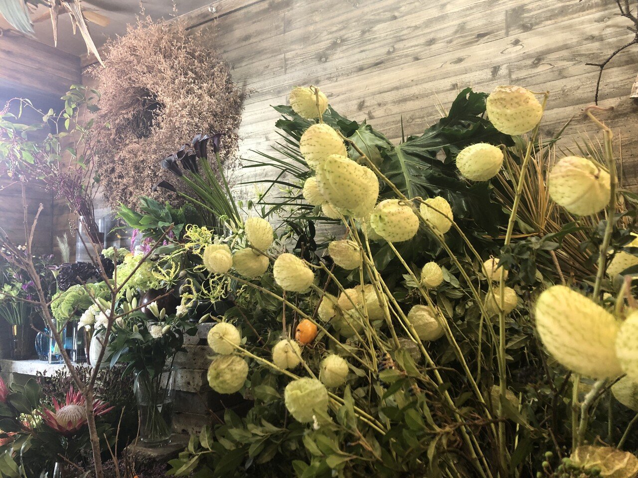 駒沢通り 中目黒 祐天寺 花屋 Chibi と Rele のレザーアイテム 8 Hachi Note 駒沢通り 中目黒 祐天寺 花屋 Chibi と Rele のレザーアイテム 8 Hachi Note