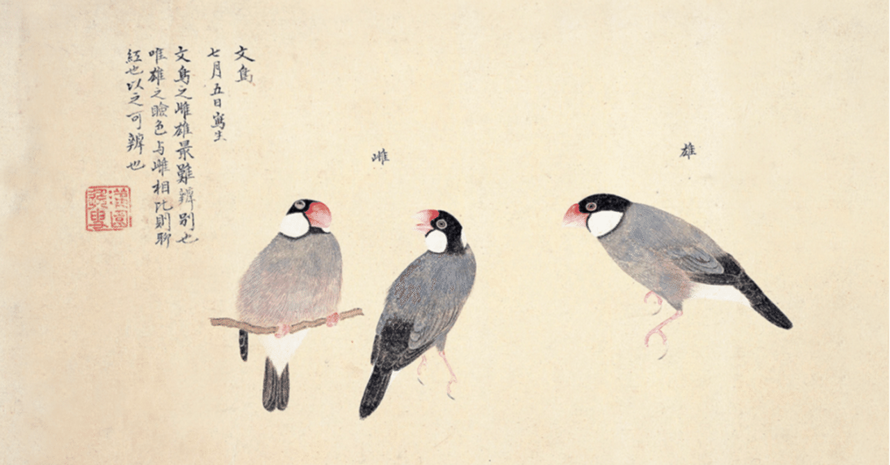 第1770回 江戸鳥図 ⑴｜翆野 大地