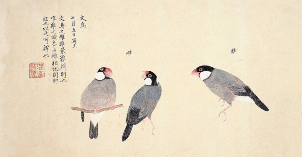 古日本絵図　時代物　江戸時代　縦横53cm 8dabaeb97182cacd7009291dcfe016