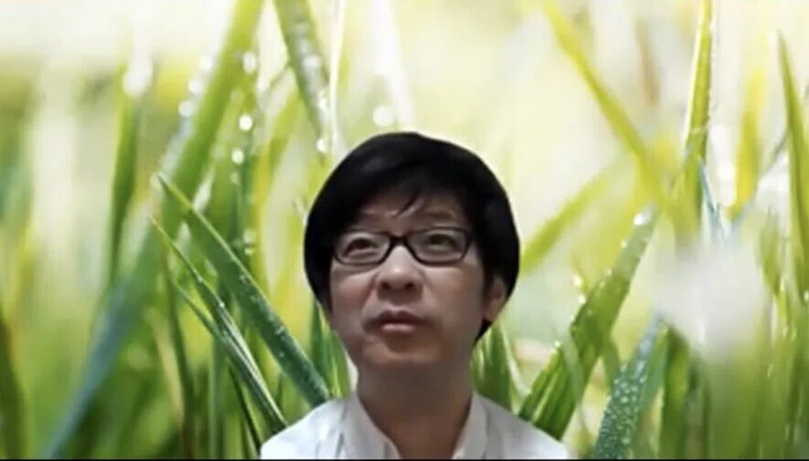 独立系研究者