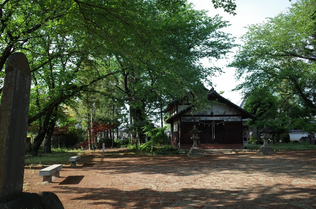 画像7