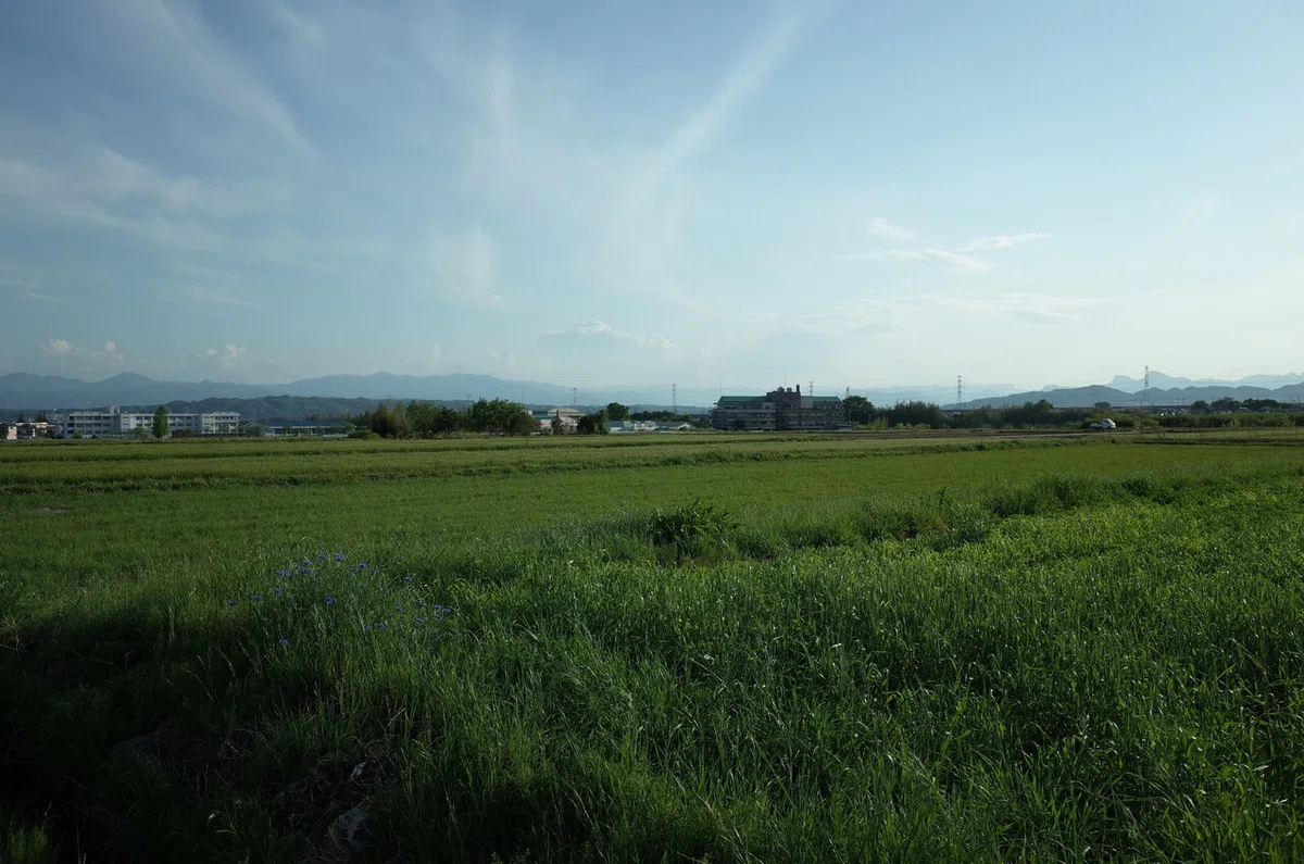 画像27