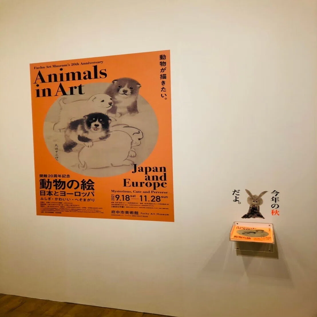 動物の絵 日本とヨーロッパ ふしぎ・かわいい・へそまがり (府中市