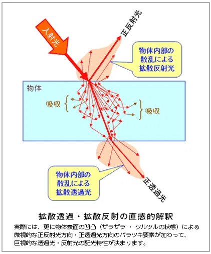 画像24