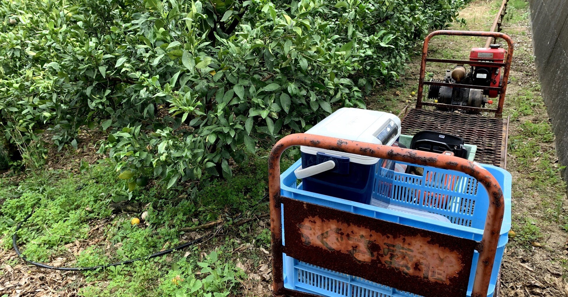 モノラック モノレール 混合 エンジン三菱 ミカン農家 林業