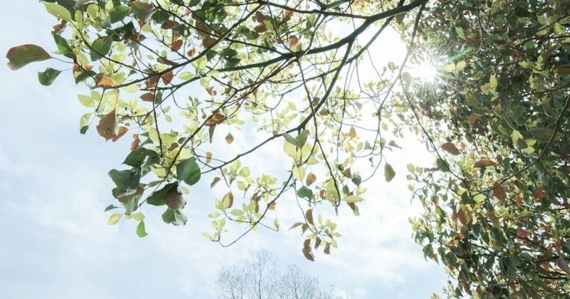 月島雫 の新着タグ記事一覧 Note つくる つながる とどける