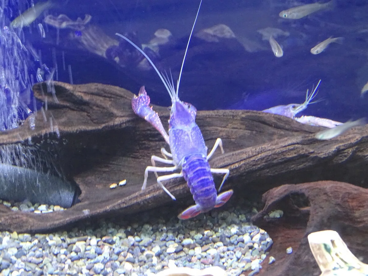 画像47