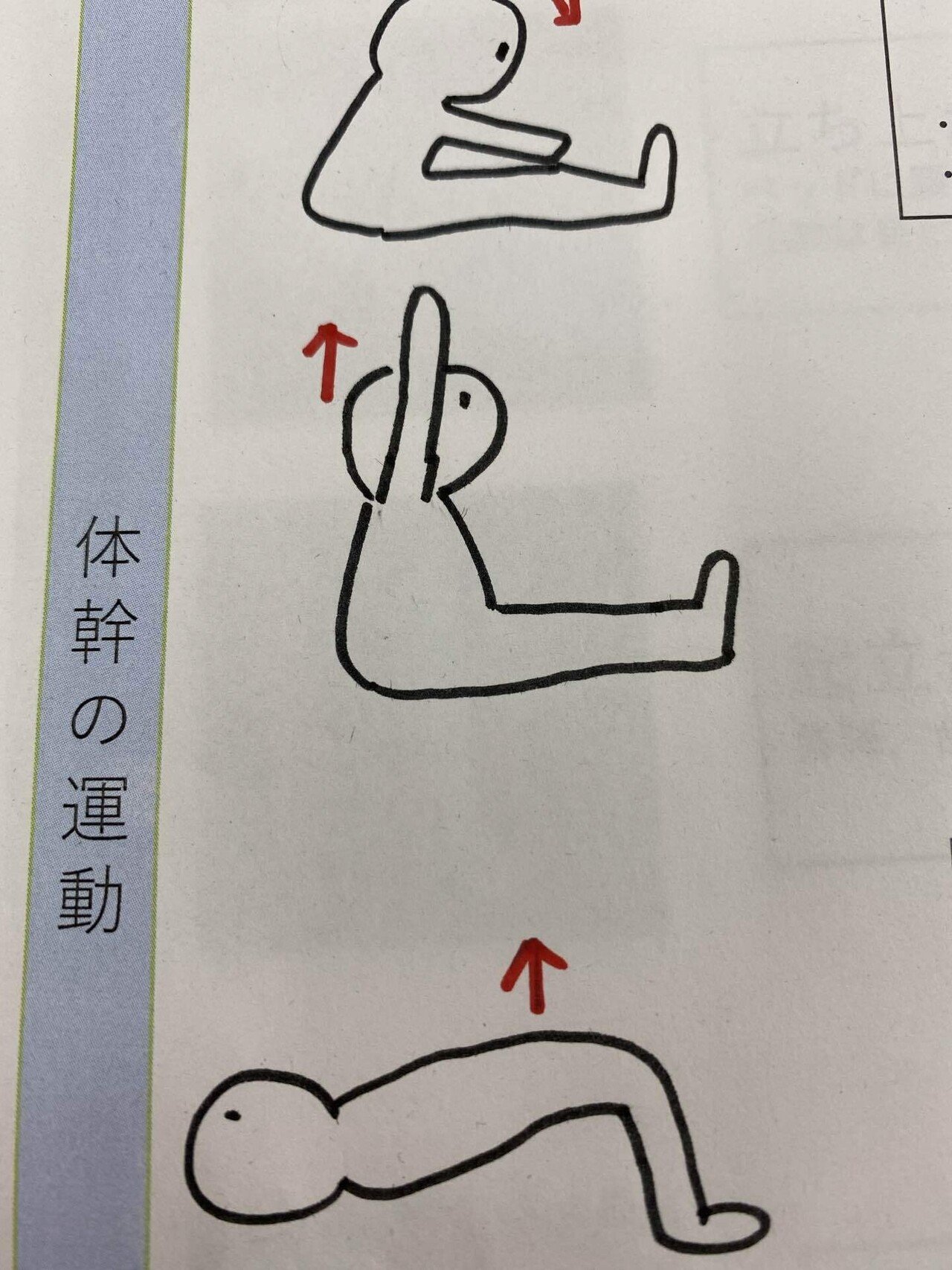 自主トレ指導のイラストについて 正しい絵がいいとは限らない りょーこ グラレコ 理学療法士 Note