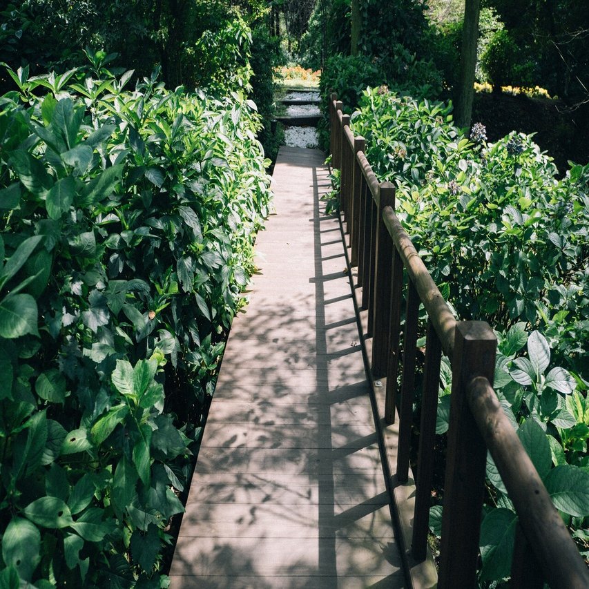 たけたのはなし 9月のくじゅう花公園 大分県竹田市 Yasuka Note