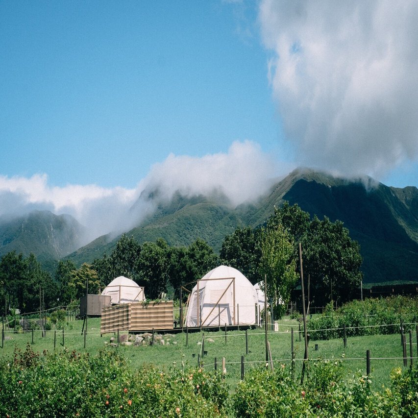 たけたのはなし 9月のくじゅう花公園 大分県竹田市 Yasuka Note