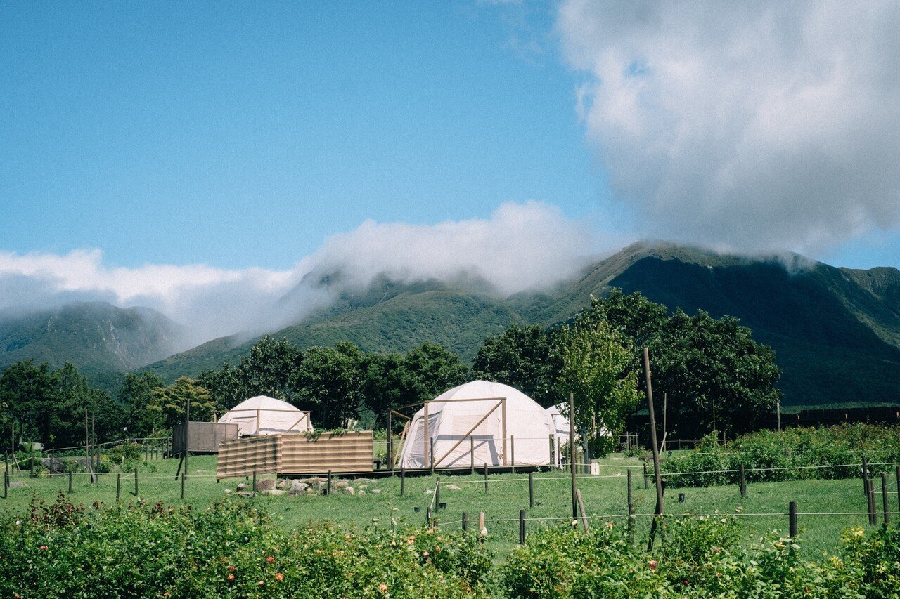 たけたのはなし 9月のくじゅう花公園 大分県竹田市 Yasuka Note たけたのはなし 9月のくじゅう花公園 大分県竹田市 Yasuka Note