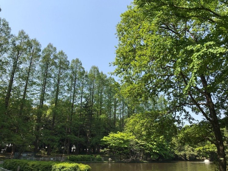 公園のベンチに座りながら、友達が好きな曲を聴いている。

その友達とこの公園で待ち合わせしたこともあったなんて思いだす。
友達はすぐそばに住んでいる。
もうしばらく会ってない。
幸せであってほしいと願ってる。

今は友達が好きな曲じゃなく、僕が好きな曲になっている。