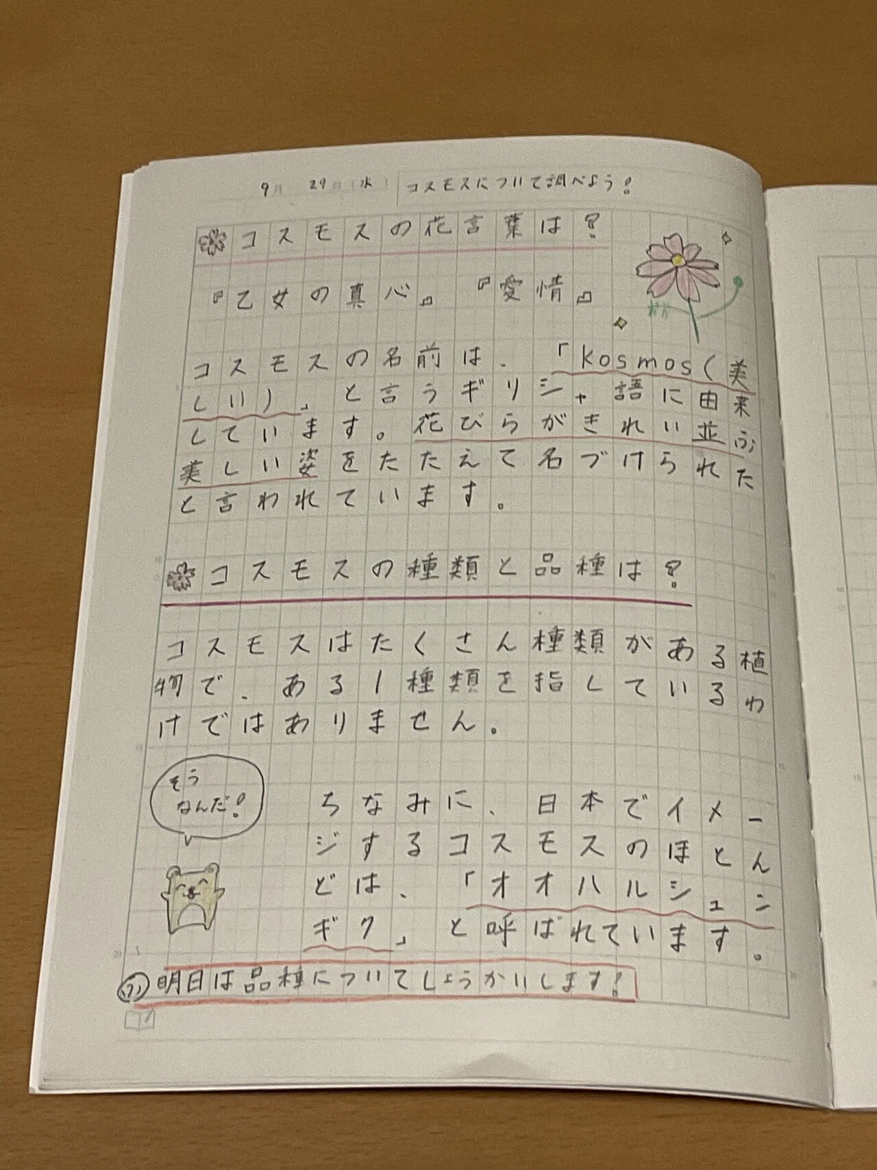 ゆりゆりの自学ノート紹介 ゆりゆり 小学五年生 Note ゆりゆりの自学ノート紹介 ゆりゆり 小学五年生 Note