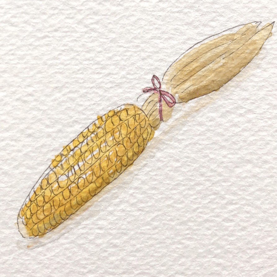 乾燥とうもろこしは いかがでしょう Pitchpotch ぴちぽち Note