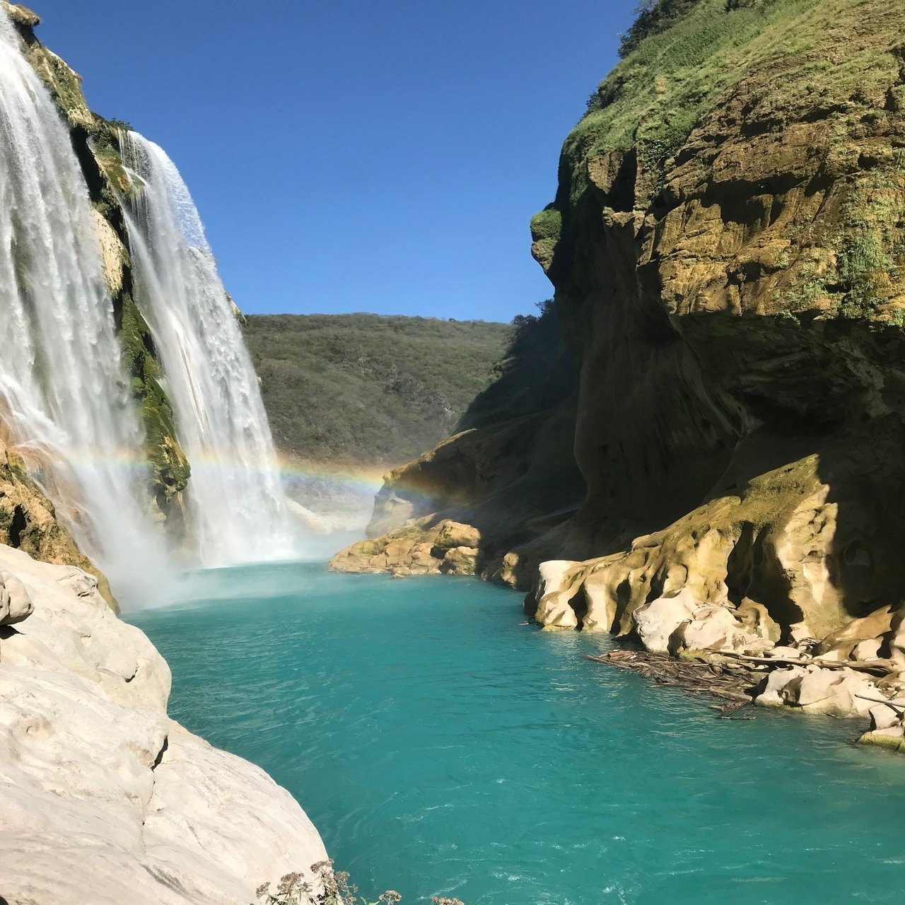 メキシコ駐在中にサンルイスポトシで得た情報など。｜ＷＩＬＤＲＯＡＤＲＵＮＮＥＲ