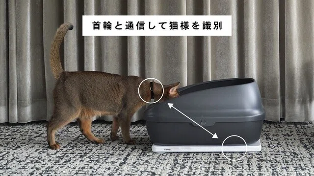 猫トイレ記録の「Catlog Board」が届いたけどちょっとガッカリした話 