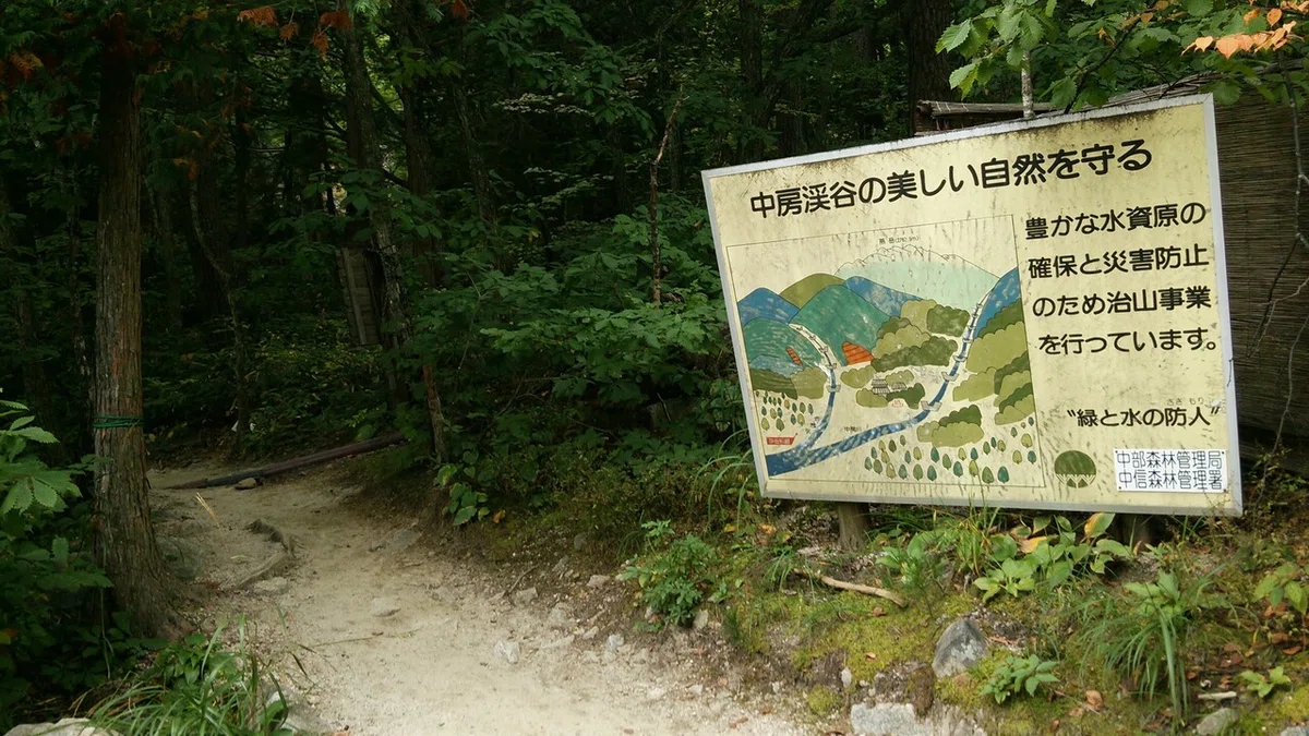 画像11