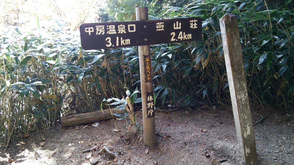 画像13