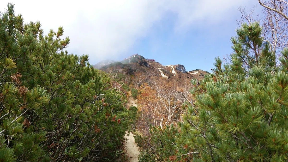 画像14
