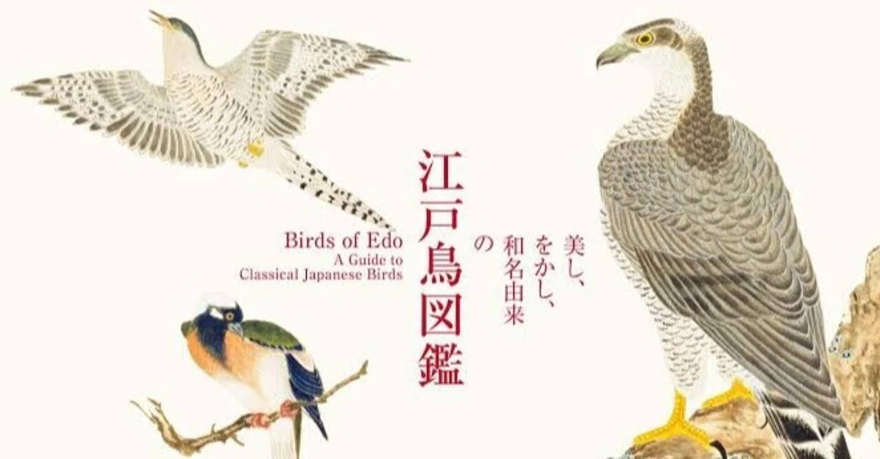 第1771回 江戸鳥図 ⑵｜翆野 大地