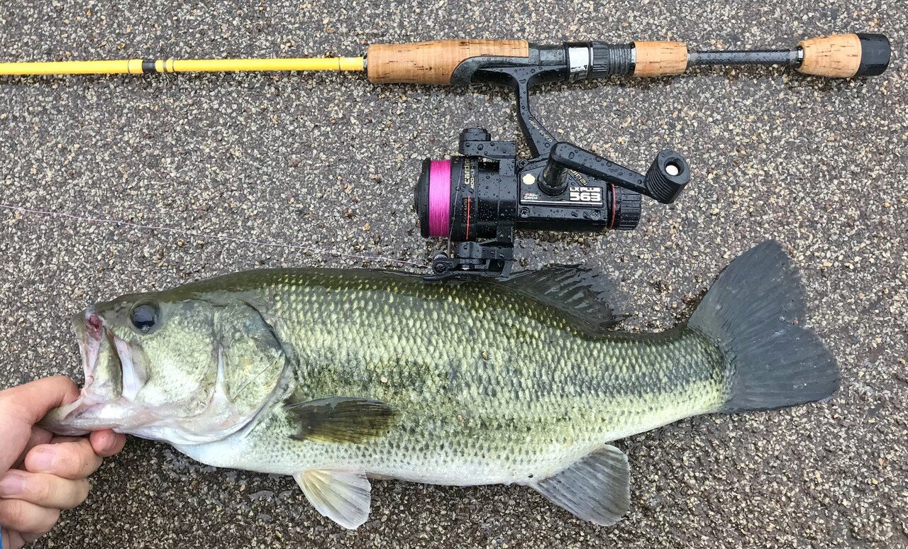 ABU GARCIA CD-3000 S4 センタードラグリールなんと新品 ABU GARCIA CD-3000 S4 センタードラグリールなんと新品 - メルカリ