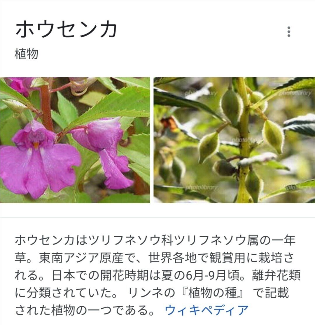 爪紅て心に染めし親の言 つまぐれてこころにそめしおやのげん 季語 爪紅 沖縄に てぃんさぐぬ花 という教訓歌があります 一番の歌詞は てぃんさぐの花は爪に染め 親の言う事は心に染めなさい という なごみ Note 爪紅て心に染めし親の言 つまぐれてこころにそめしおやのげん 季語 爪紅 沖縄に てぃんさぐぬ花 という教訓歌があります 一番の歌詞は てぃんさぐの花は爪に染め 親の言う事は心に染めなさい という なごみ Note
