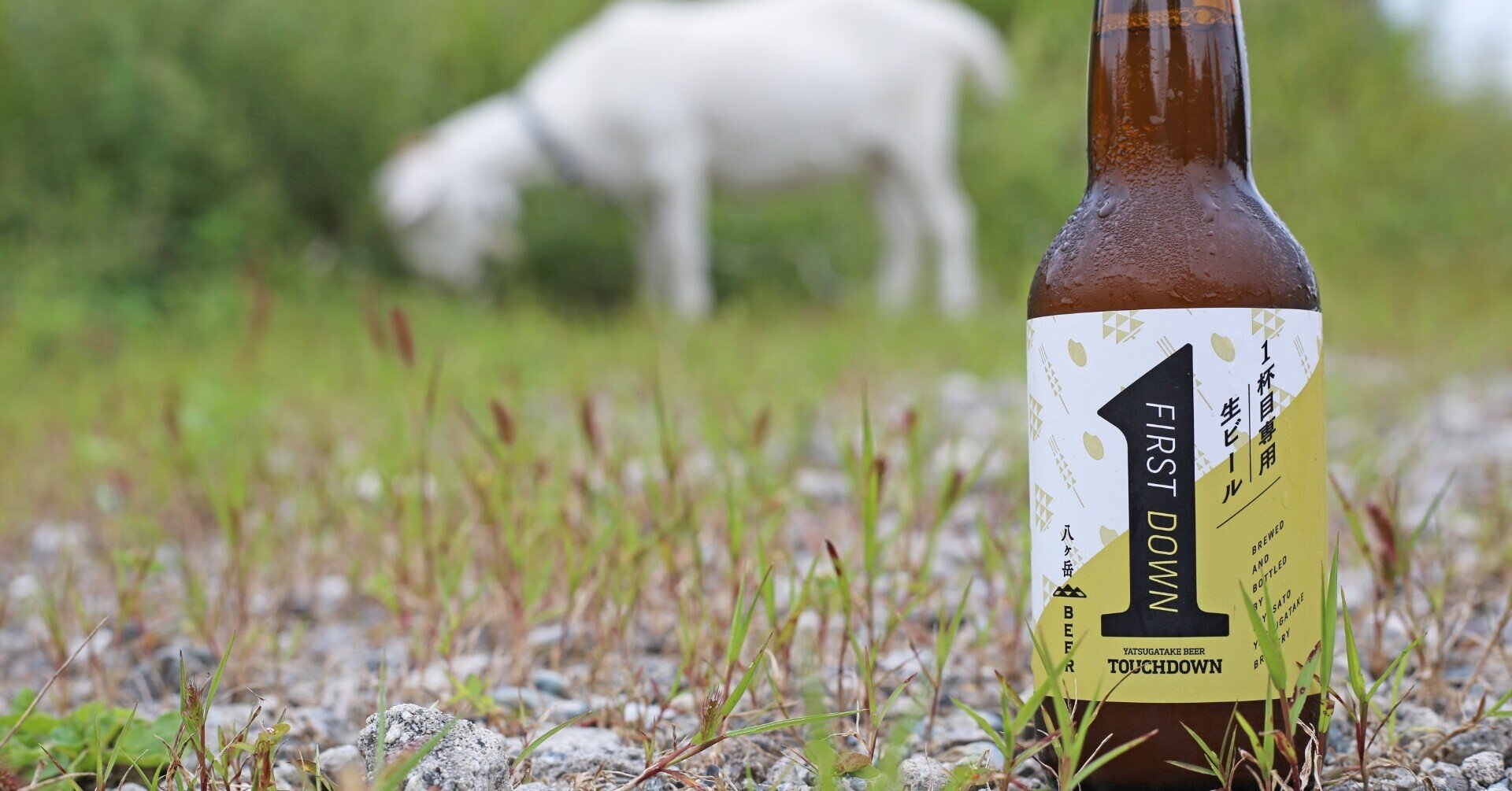 サウナとビールのアクロス・ザ・ユニバース (クラフトビールをめぐる