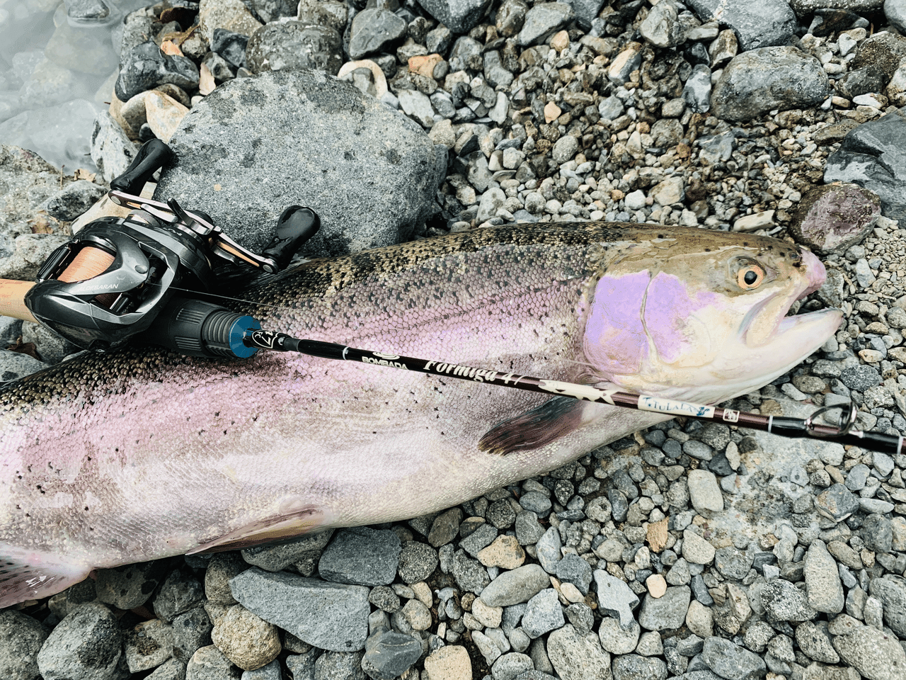 最近の釣り オツヒト Note 最近の釣り オツヒト Note