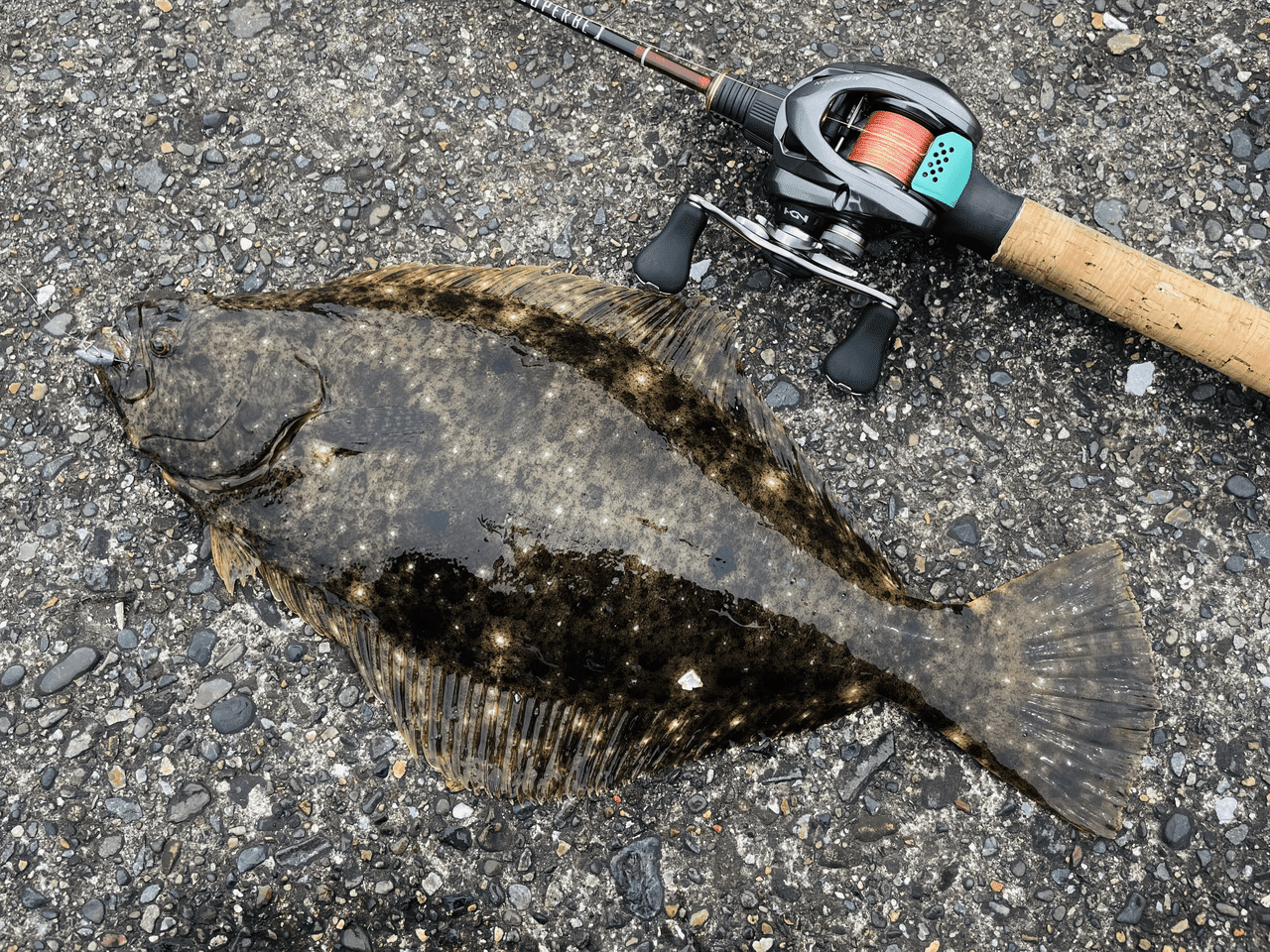 最近の釣り オツヒト Note 最近の釣り オツヒト Note