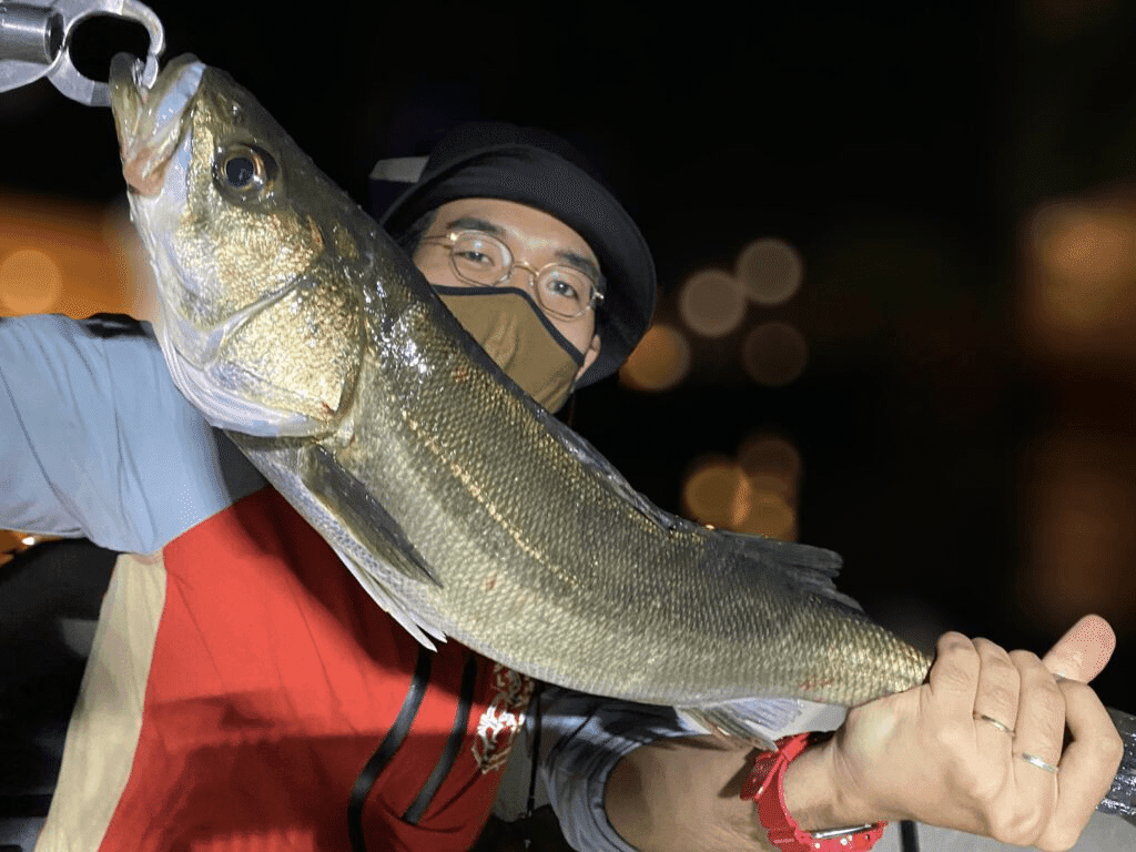 最近の釣り オツヒト Note 最近の釣り オツヒト Note