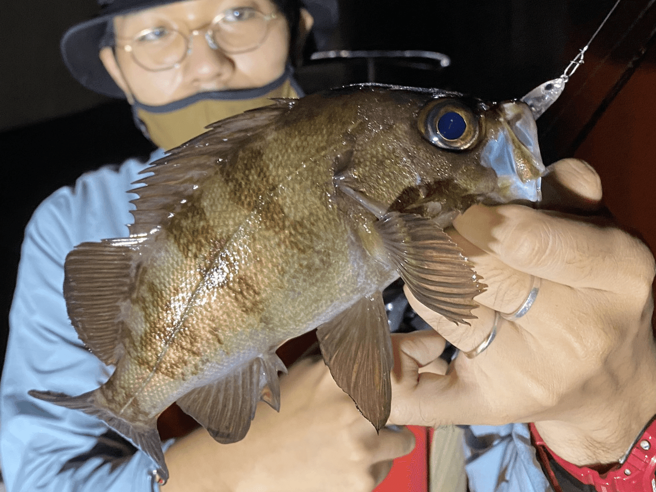 最近の釣り オツヒト Note 最近の釣り オツヒト Note