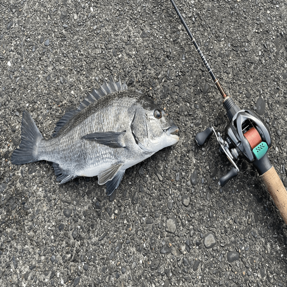 ボンバダアグア フォルミーガ47 【公式通販】