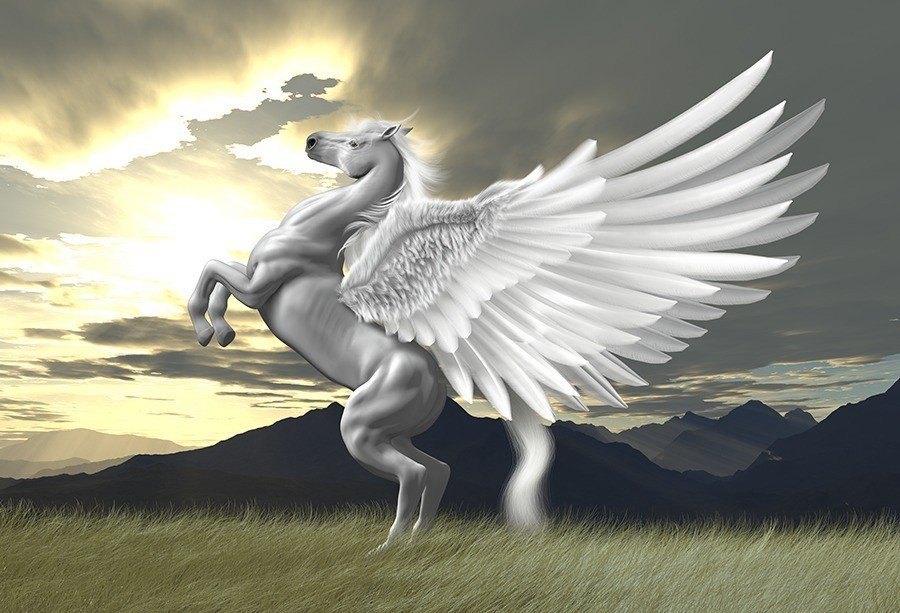 ペガサス 龍樹 Note