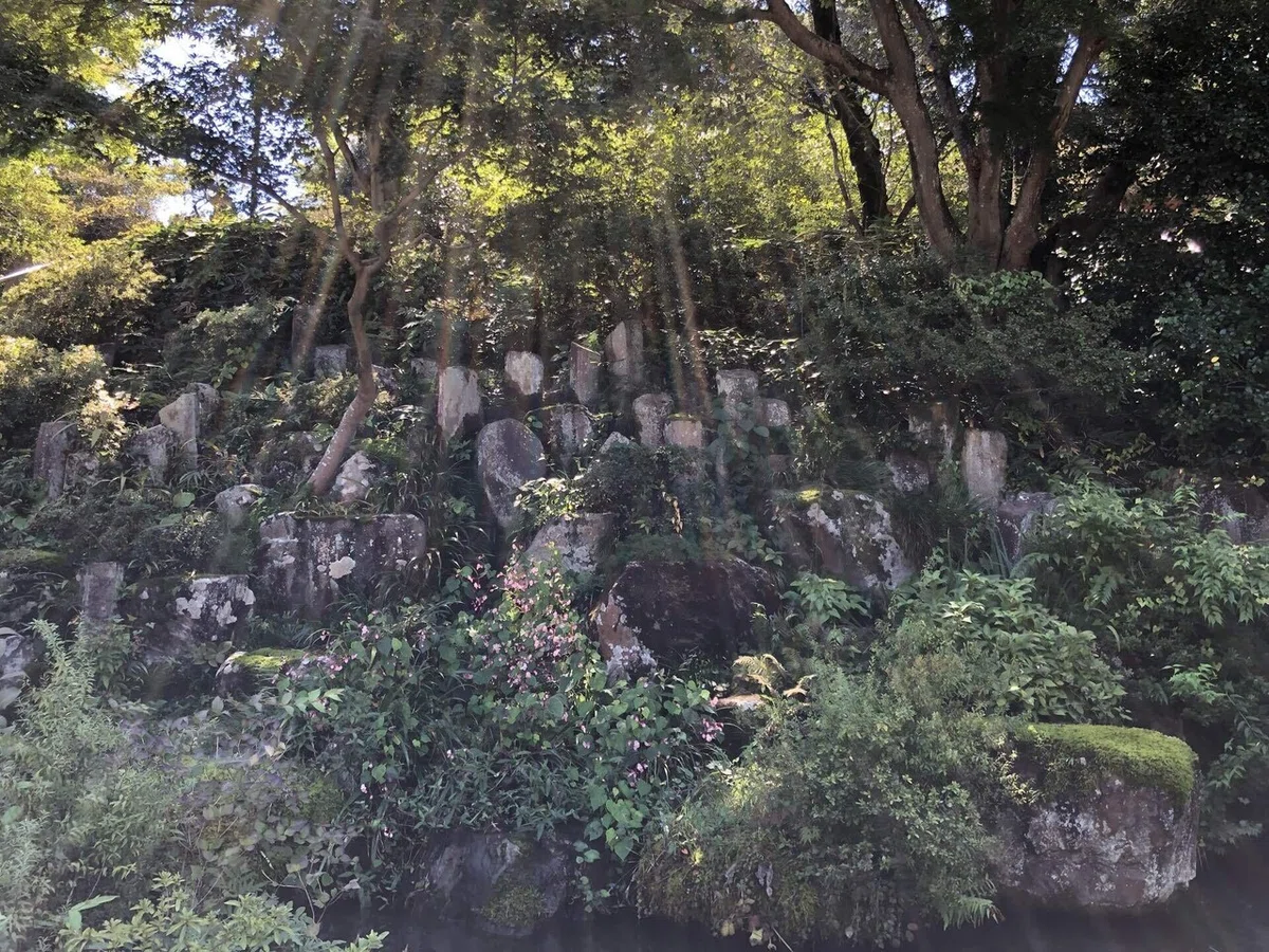 画像7