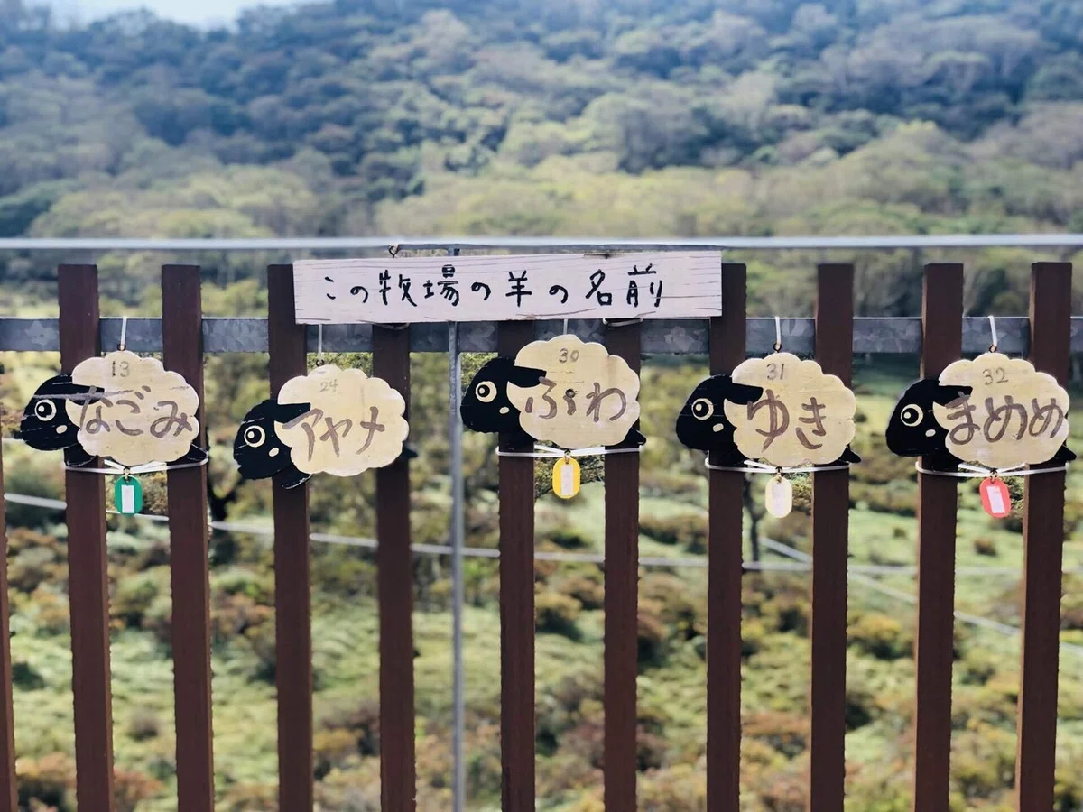 画像15