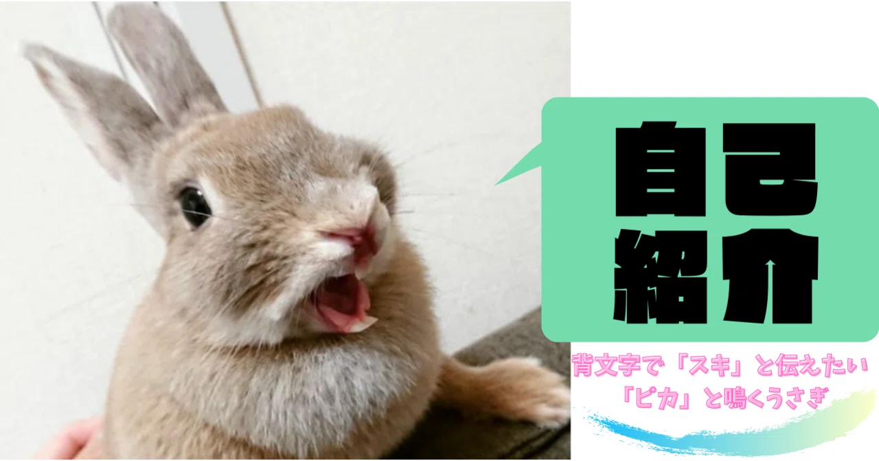 うさぎ の新着タグ記事一覧 Note つくる つながる とどける