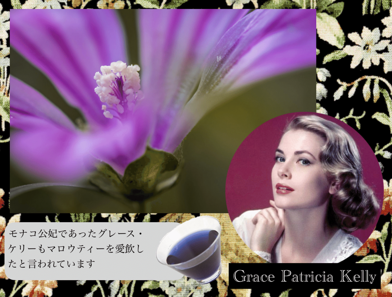 青いゼリーって作れるのかな コモンマロウで実験 𓇗𝕳𝖎𝖑𝖉𝖊𝖌𝖆𝖗𝖙𝖊𝖓 𝕹𝖔𝖙𝖊𓇗 𓍯中世の修道院の薬草園を身近に作る 感じる𓍯ヒルデガルテン 聖ヒルデガルトの薬草園 Note 青いゼリーって作れるのかな コモンマロウで実験 𓇗𝕳𝖎𝖑𝖉𝖊𝖌𝖆𝖗𝖙𝖊𝖓 𝕹𝖔𝖙𝖊𓇗 𓍯中世の修道院の薬草園を身近に作る 感じる𓍯ヒルデガルテン 聖ヒルデガルトの薬草園 Note