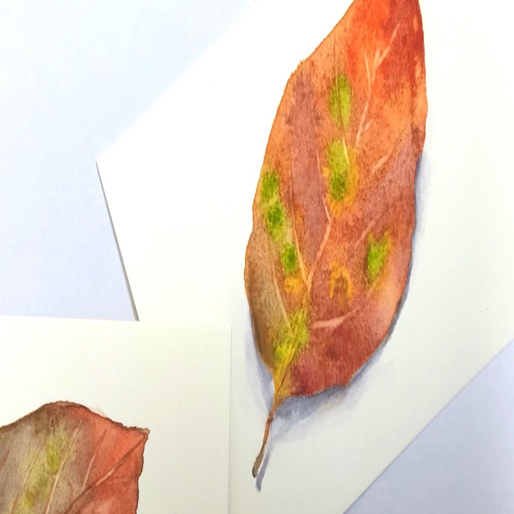 水彩イラスト】落ち葉を描いてみる｜日端奈奈子