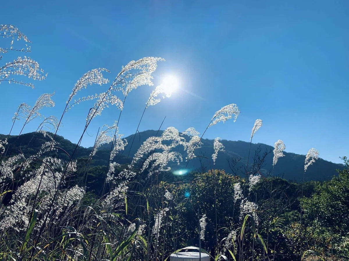 画像23