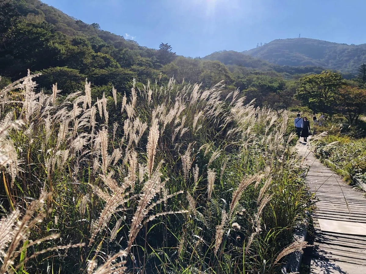 画像29