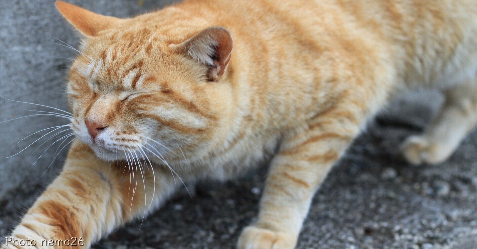 面白い研究から重要な研究へのシフト Yoshiki Shinohara Note